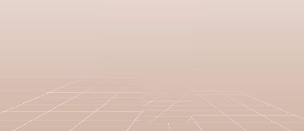 Viện thẩm mỹ Quốc Tế Adela 24 Bà triệu